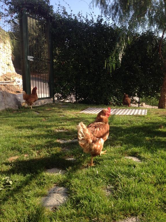Agriturismo Da Lui ボルディゲーラ エクステリア 写真