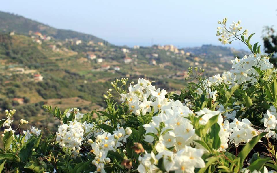 Agriturismo Da Lui ボルディゲーラ エクステリア 写真